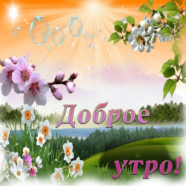 Букет ромашек
