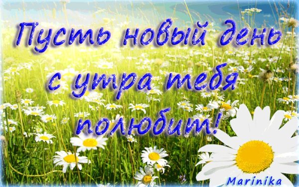 Красивые пейзажи с добрым утром