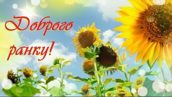 Доброго ранку