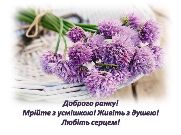 Доброго ранку мирного дня