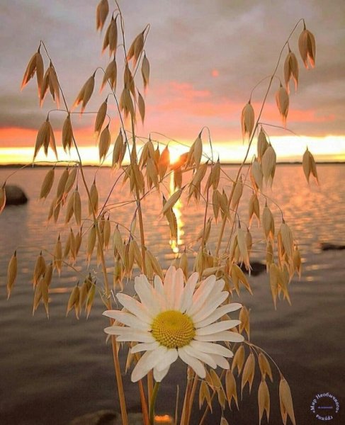 До свидания июнь Здравствуй июль