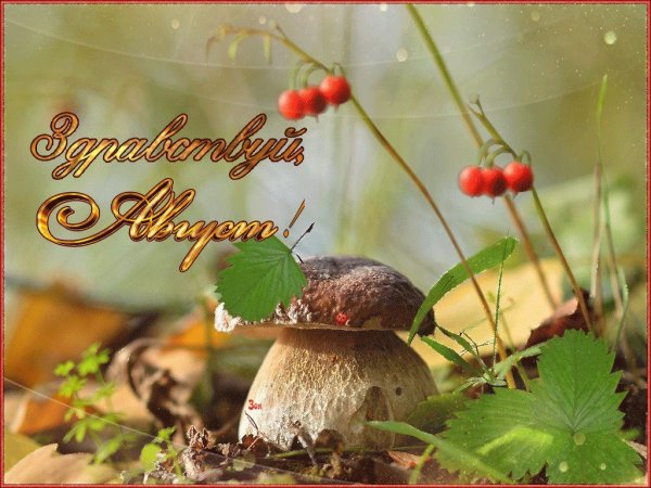 Прощай лето Здравствуй осень