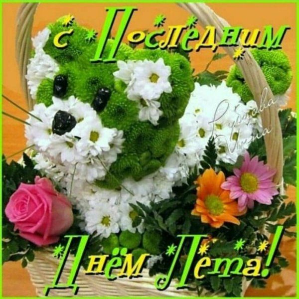 Лето возвращается