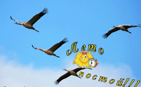 Доброго осеннего утра с Бабьем летом