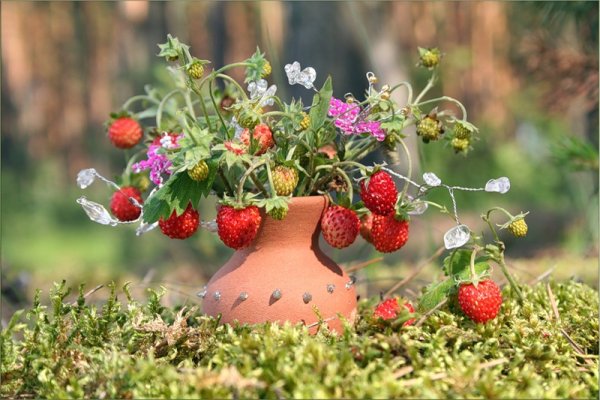Букет полевых цветов и земляники
