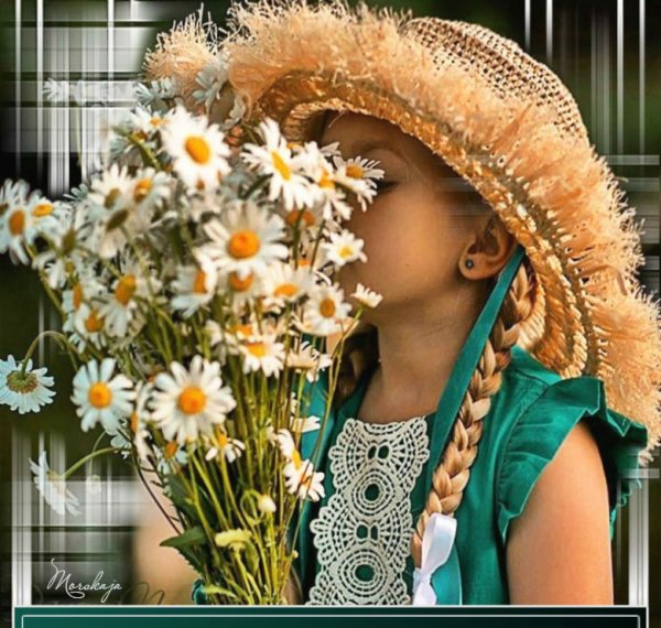 Лето пахнет