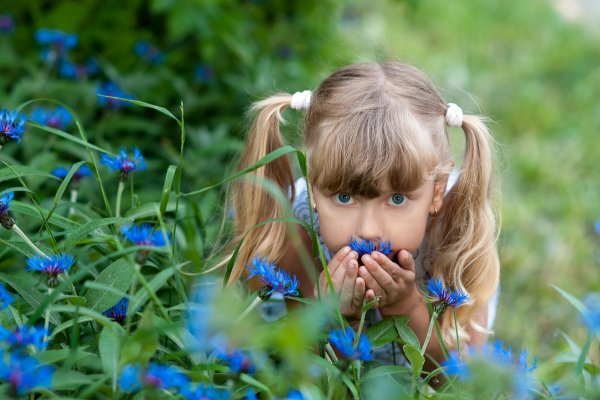 Дети любуются цветами