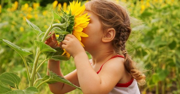 Цветы для детей