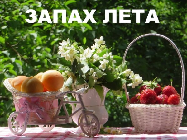 Стих лето пахнет