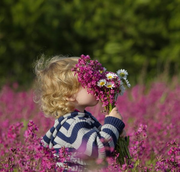 Нежная природа