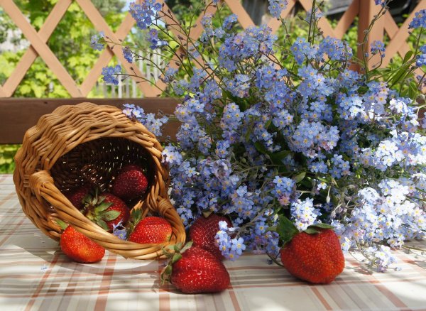 Аромат лета