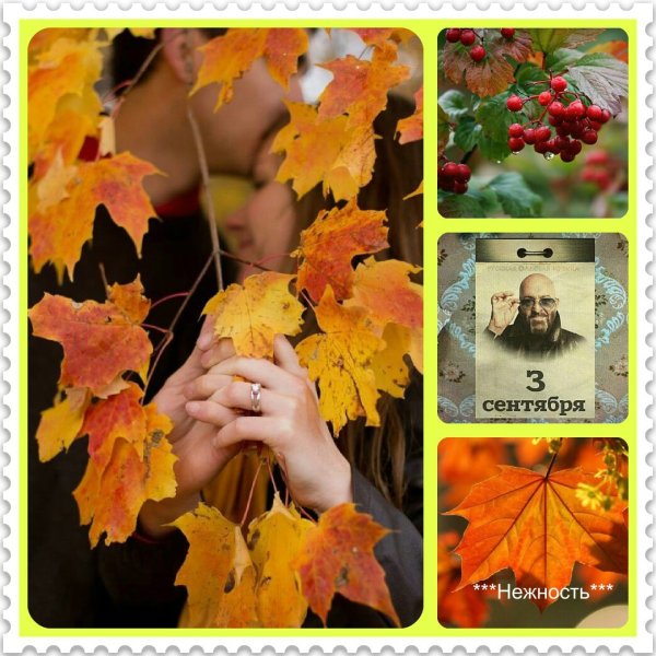 Раскупорим осень