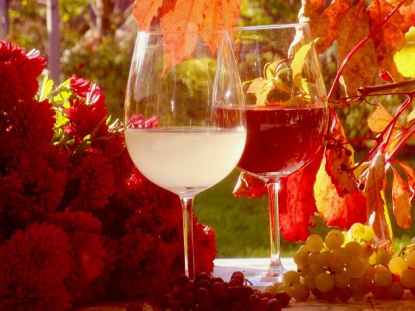 Осень вино бокалы