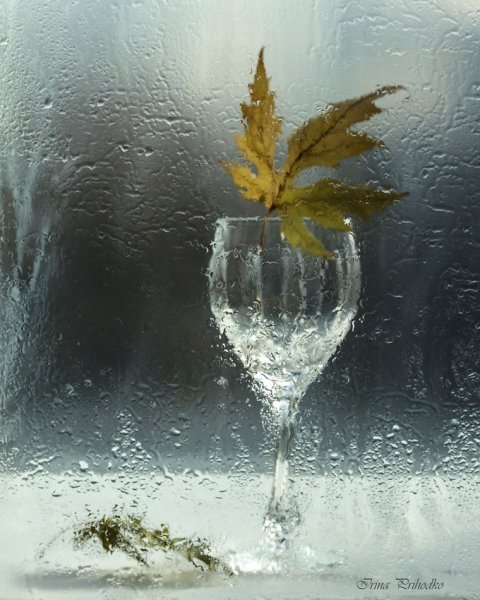 Осень в бокале