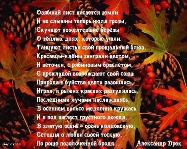 Утро доброе в окошко осеннее