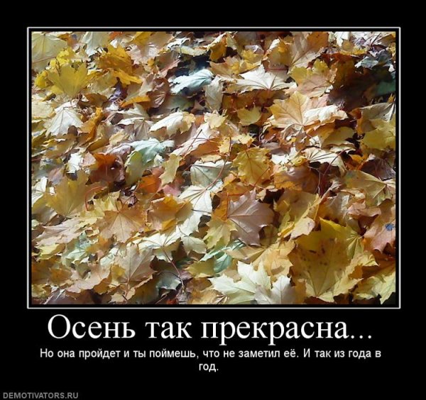 Осень листья разбросала стихи