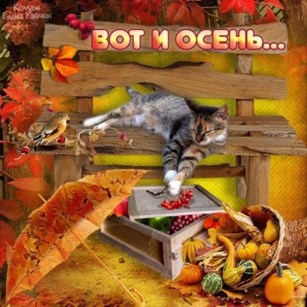 Последний день осени приколы