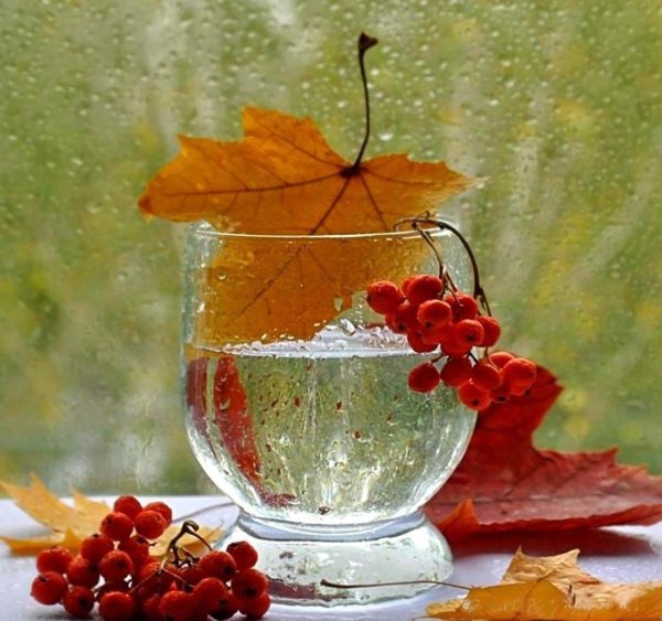 Осенний бокал