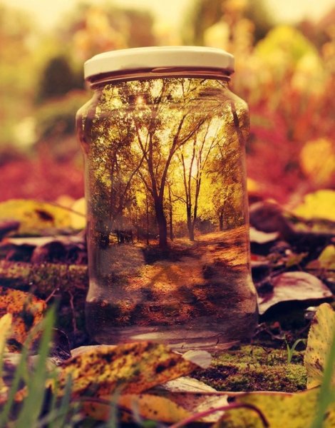 Осенний день креатив