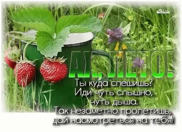 Торопитесь вдыхать лето наслаждаться и любить скоро осень