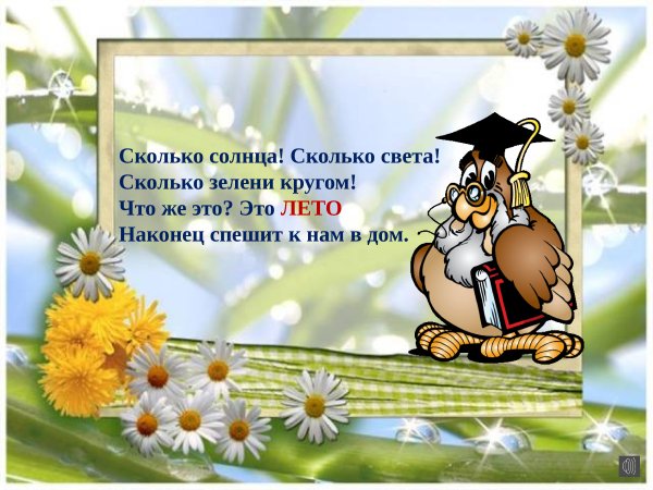 Август юмор