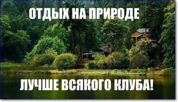 Природа приколы с надписями