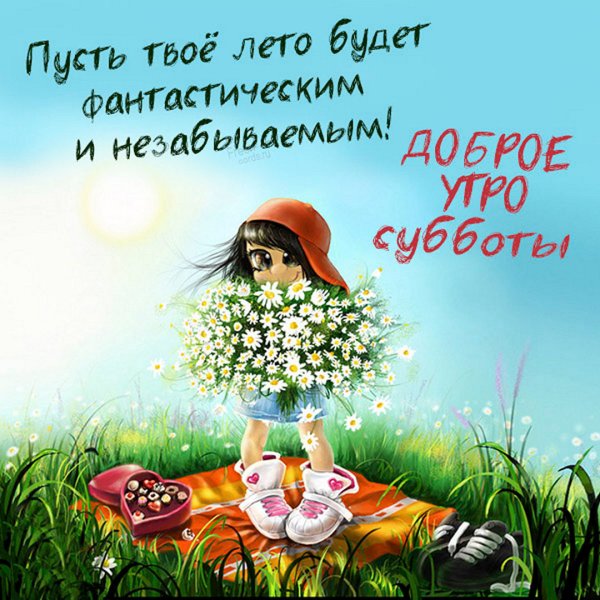 Лето картинки прикольные