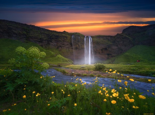 Водопад цветы Исландии