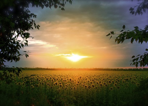 Русская природа Восход