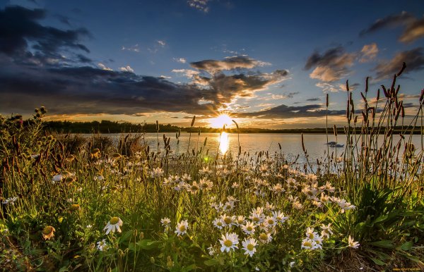 Утро природа