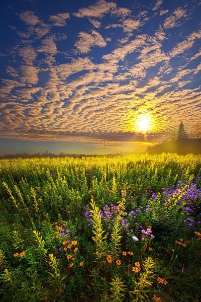 Летний пейзаж