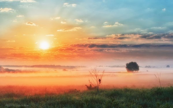 Лето рассвет