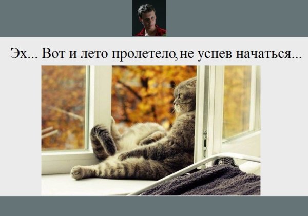 Лето пролетело