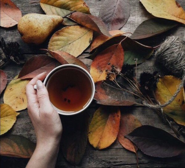 Осень чай в руках