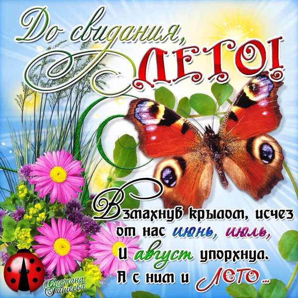 Прощай июль
