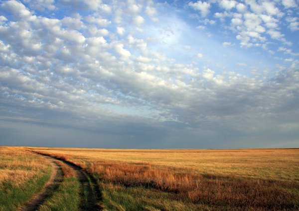 Бескрайняя Ковыльная степь