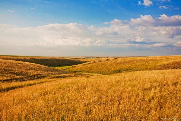 Степь Западный Казахстан