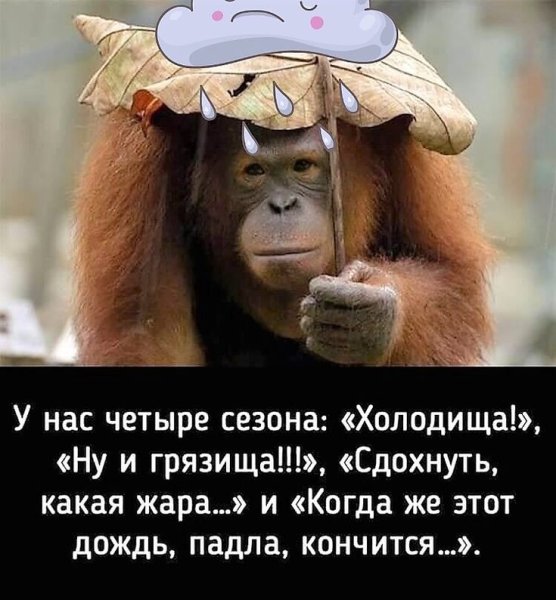 Демотиваторы про лето ржачные