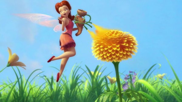 Феи мультфильм 2008 Розетта