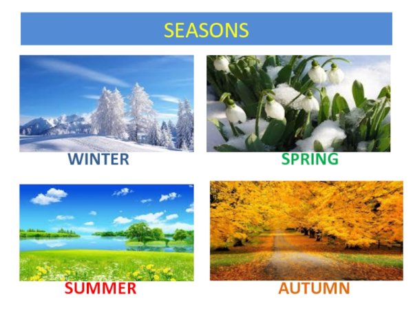 Рисунки на тему what is your favourite Season