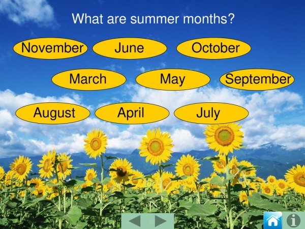 Тема лето на английском для детей