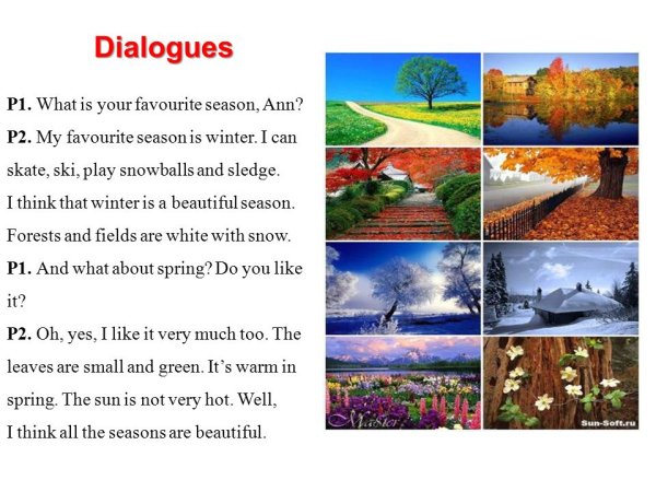 Мои летние каникулы