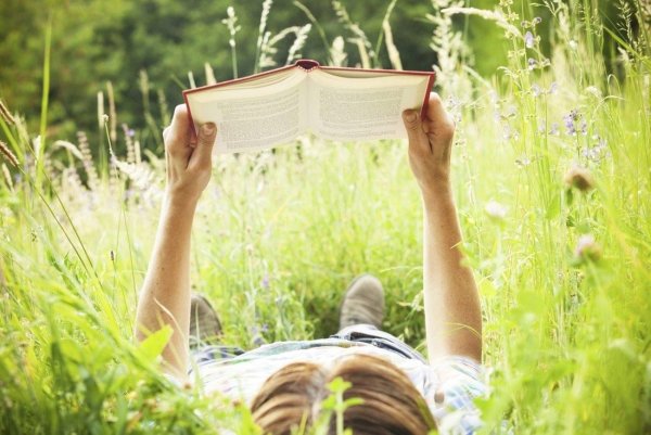Лето с книгой
