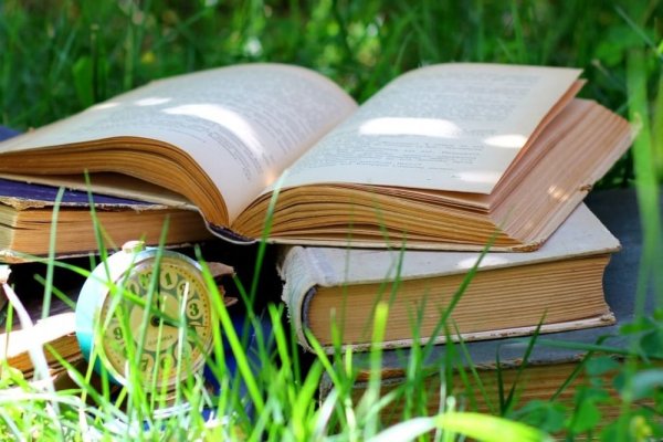 Книга летом
