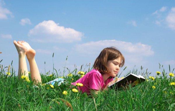 Летнее чтение