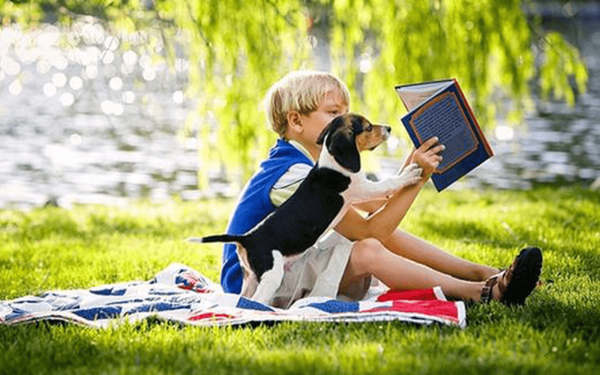 Лето с книгой