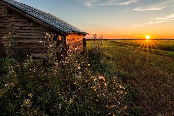 Деревенский Вайб