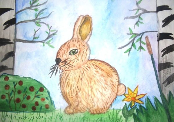 Рисование зайца в детском саду