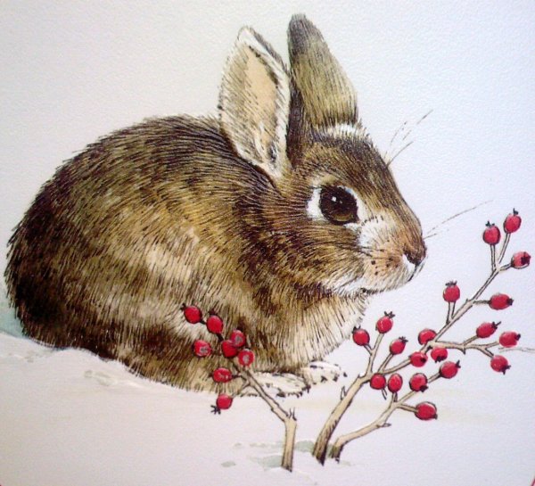 Заяц Листопадничек