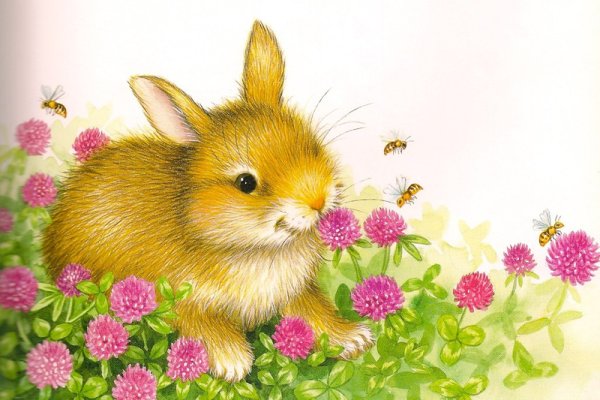 Lisa MCCUE иллюстратор